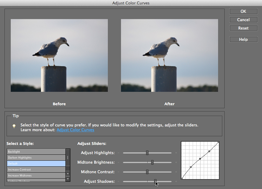 Screenshot of Adobe Photoshop Elements