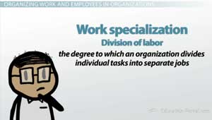Definition of Work Specialization