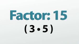 factor 15