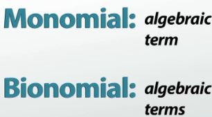 monomial and binomial