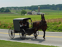 An Amish family in a horse-drawn square buggy passes a farmhouse, barn and granary; more farms and forest in the distance.