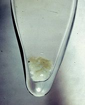 Cross-section of a glass vial showing brownish-white snow-like precipitation on the bottom.